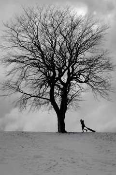 A girl walking back to the top of her sledging run on a snowy day in Edinburgh